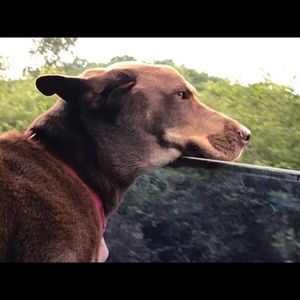 Meet your Posher, Gen